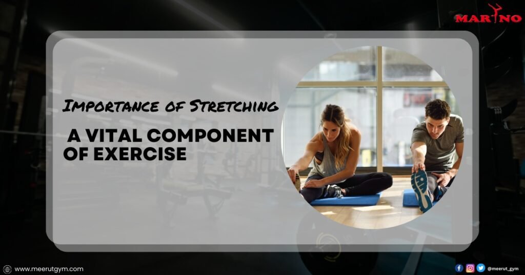 Importance of Stretching - A Vital Component of Exercise